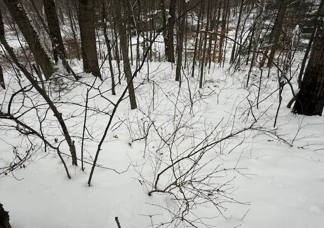Photo 3 of Sale Pending at 9861 E School Section Lake Dr, Mecosta, MI 49332 | MLS# 70506927 | Listing updated on 2025-12-22