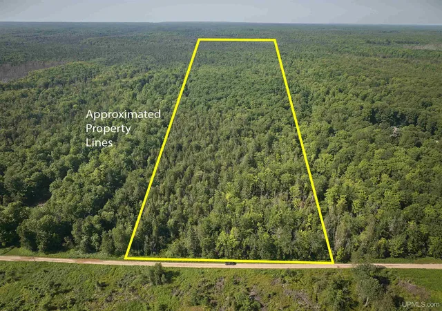 Photo 1 of Land for sale at E968 Mcafee Rd, Trenary, MI 49891 | MLS# 50214995 | Listing updated on 2026-08-11