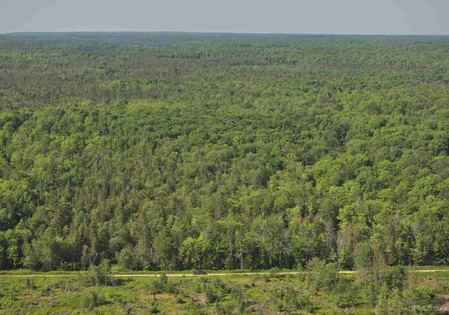 Photo 2 of Land for sale at E968 Mcafee Rd, Trenary, MI 49891 | MLS# 50214995 | Listing updated on 2026-08-11