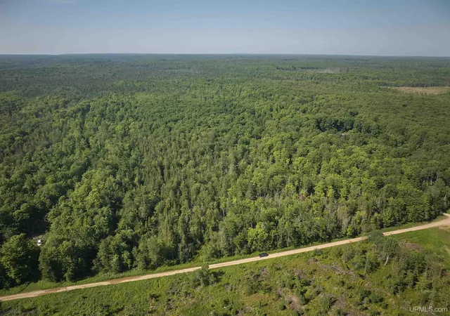 Photo 3 of Land for sale at E968 Mcafee Rd, Trenary, MI 49891 | MLS# 50214995 | Listing updated on 2026-08-11
