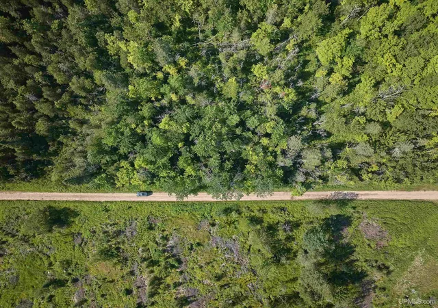 Photo 3 of Land for sale at E968 Mcafee Rd, Trenary, MI 49891 | MLS# 50214995 | Listing updated on 2026-08-11