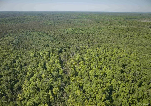 Photo 4 of Land for sale at E968 Mcafee Rd, Trenary, MI 49891 | MLS# 50214995 | Listing updated on 2026-08-11