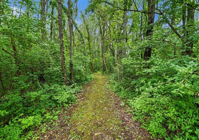 Homes for sale in Cassopolis, MI | V/l Forest Shores Dr, Cassopolis, MI 49031 | MLS# 70539587