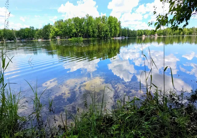 Land for sale at 00 Red Oak Dr, Prescott, MI 48756 | MLS# 80072093
