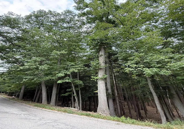 Photo 3 of Land for sale at 4731 Albert Courtade Rd, Traverse City, MI 49696 | MLS# 80072872 | Listing updated on 2026-09-01