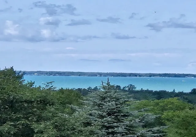 3rd image of 10746 Deal Rd, Williamsburg, MI 49690 | MLS# 80072408