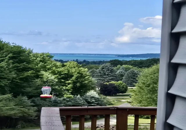 4th image of 10746 Deal Rd, Williamsburg, MI 49690 | MLS# 80072408