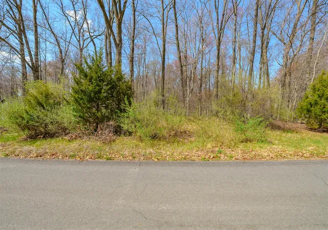 Photo 2 of Land for sale at 4331 Stony Ave, Kalamazoo, MI 49004 | MLS# 70555037 | Listing updated on 2026-08-31