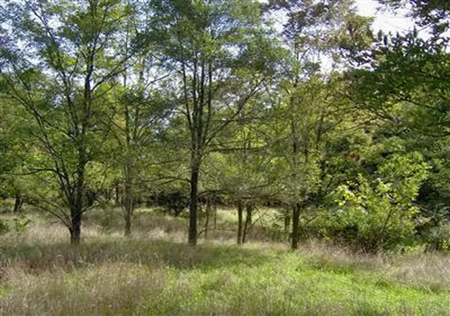image of 1431 M 89 Hwy, Otsego, MI 49078 | MLS# 70450010