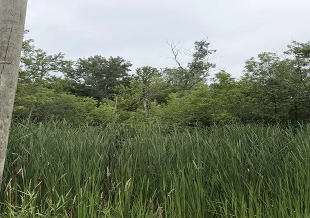 Photo 1 of Land for sale at W Linco Rd Parcel #3 C, Stevensville, MI 49127 | MLS# 70549891 | Listing updated on 2026-08-03