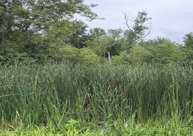 Photo 2 of Land for sale at W Linco Rd Parcel #3 C, Stevensville, MI 49127 | MLS# 70549891 | Listing updated on 2026-08-03