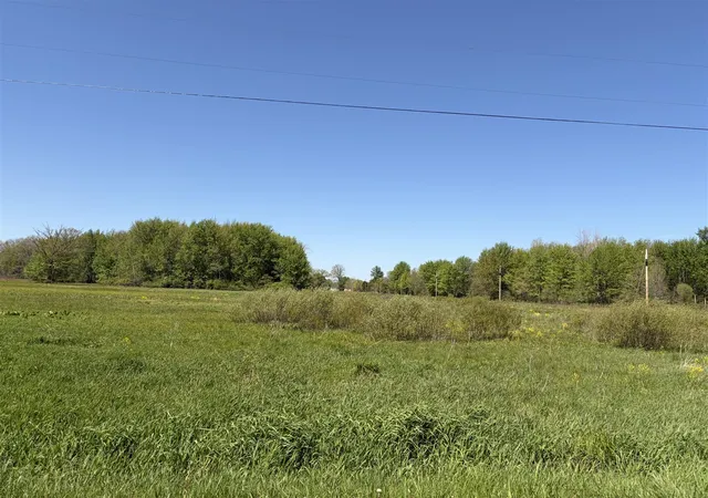 Homes for sale in Paw Paw, MI | 00000 40th St, Paw Paw, MI 49079 | MLS# 70532563