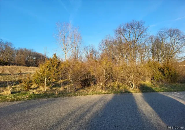 Homes for sale in Milford, MI | Tbd Parcel C Olivia Dr, Milford, MI 48380 1045 | MLS# 60982348