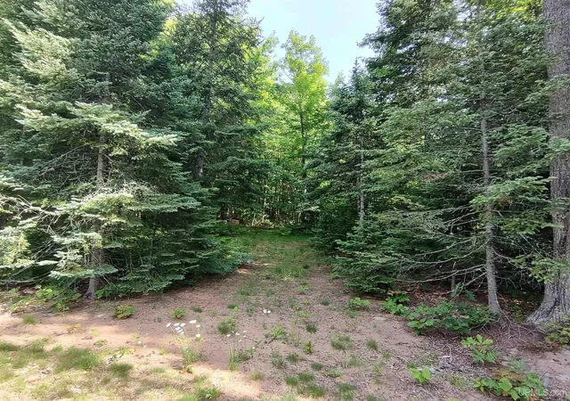 Homes for sale in Sidnaw, MI | 4605 S Sidnaw Rd, Sidnaw, MI 49961 | MLS# 50214174