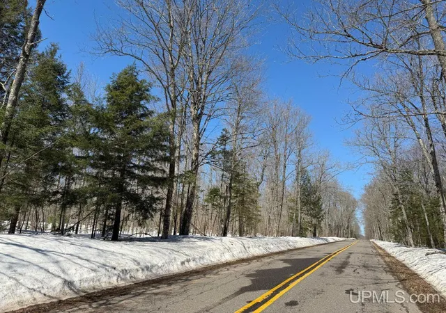 1st image of 40 Acres Dukes Rd, Skandia, MI 49885 | MLS# 50204665