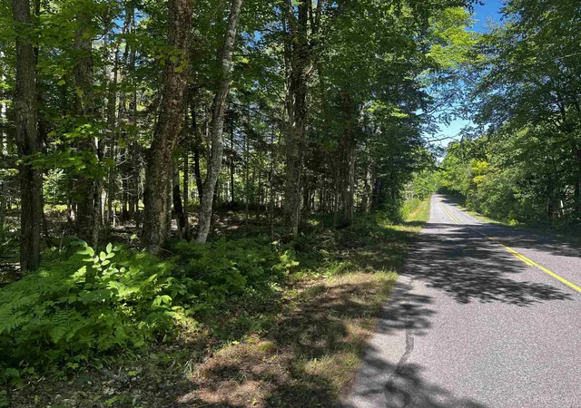 Photo 1 of Land for sale at 40 Acres Dukes Rd, Skandia, MI 49885 | MLS# 50204665 | Listing updated on 2026-09-01