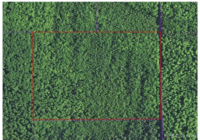 24th image of 40 Acres Dukes Rd, Skandia, MI 49885 | MLS# 50204665