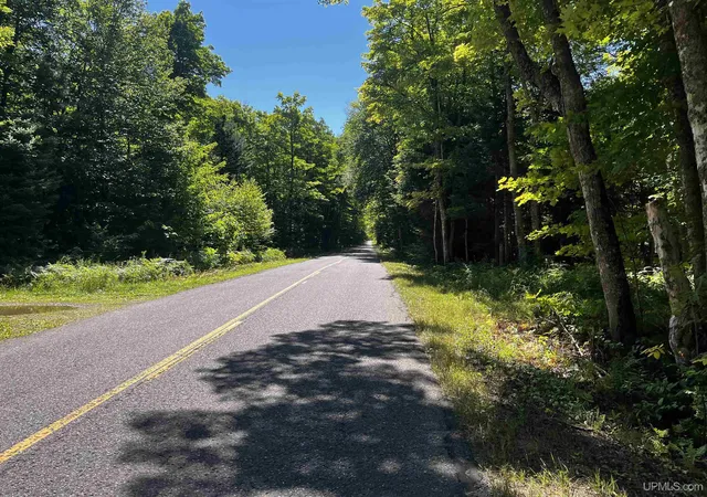 Photo 2 of Land for sale at 40 Acres Dukes Rd, Skandia, MI 49885 | MLS# 50204665 | Listing updated on 2026-09-01