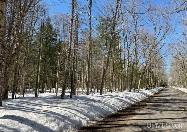 2nd image of 40 Acres Dukes Rd, Skandia, MI 49885 | MLS# 50204665