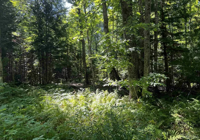 Photo 3 of Land for sale at 40 Acres Dukes Rd, Skandia, MI 49885 | MLS# 50204665 | Listing updated on 2026-09-01