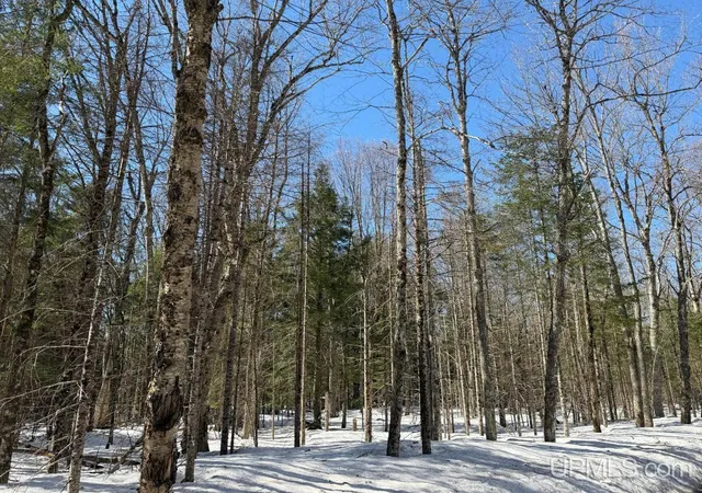 3rd image of 40 Acres Dukes Rd, Skandia, MI 49885 | MLS# 50204665