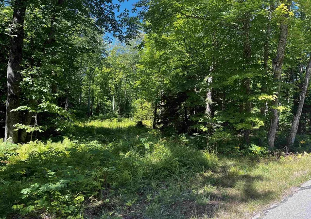 Photo 3 of Land for sale at 40 Acres Dukes Rd, Skandia, MI 49885 | MLS# 50204665 | Listing updated on 2026-09-01