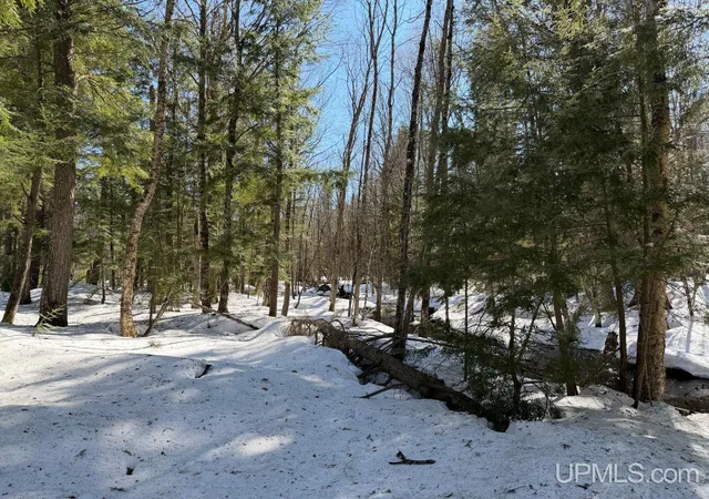 4th image of 40 Acres Dukes Rd, Skandia, MI 49885 | MLS# 50204665