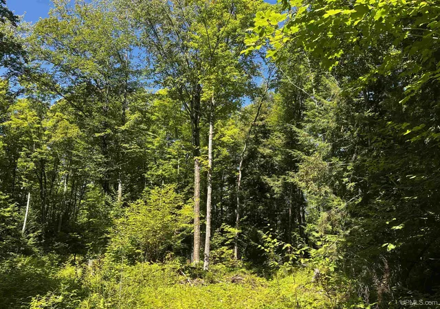 Photo 4 of Land for sale at 40 Acres Dukes Rd, Skandia, MI 49885 | MLS# 50204665 | Listing updated on 2026-09-01