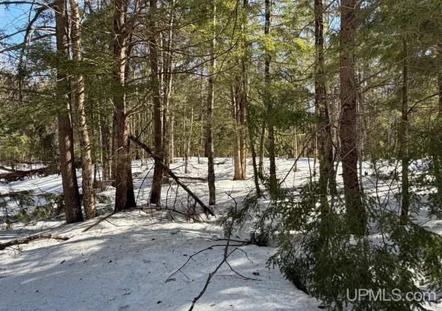 5th image of 40 Acres Dukes Rd, Skandia, MI 49885 | MLS# 50204665