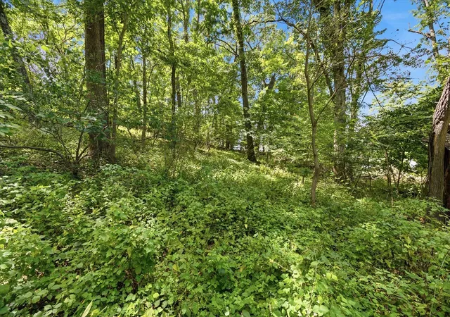 Photo 3 of Land for sale at Luann, Pinckney, MI 48169 | MLS# 70553101 | Listing updated on 2026-08-21