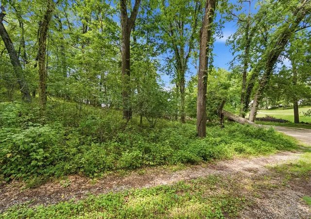 Photo 4 of Land for sale at Luann, Pinckney, MI 48169 | MLS# 70553101 | Listing updated on 2026-08-21