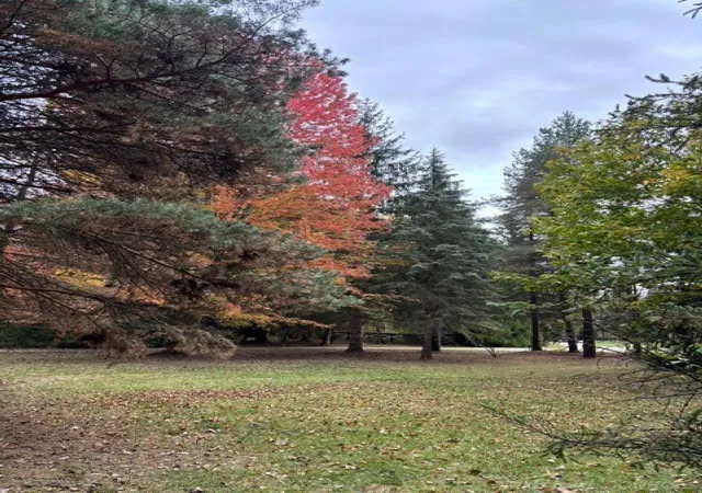 Photo 3 of Land for sale at 0 Simcheck Dr, Northville, MI 48167 | MLS# 50199878 | Listing updated on 2026-06-25