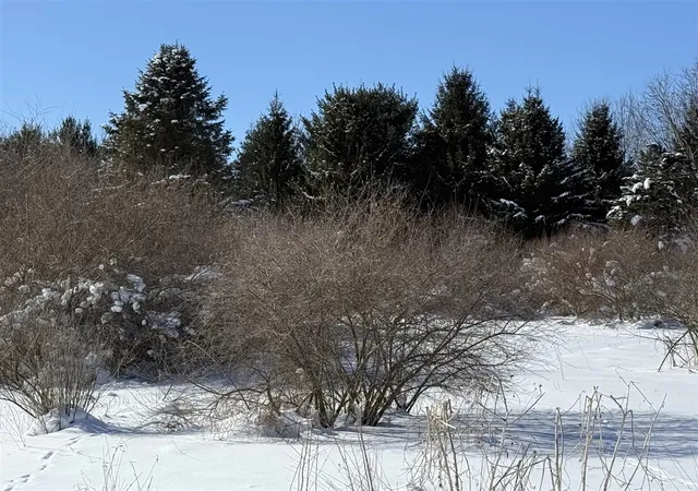 2nd image of 6800 W Barnum Rd, Middleville, MI 49333 | MLS# 70513297