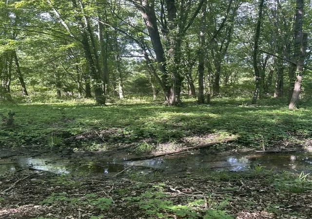 Photo 2 of Sale Pending at 25500 U Dr, Homer, MI 49245 | MLS# 70535959 | Listing updated on 2026-09-14