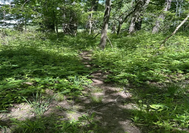 Photo 4 of Sale Pending at 25500 U Dr, Homer, MI 49245 | MLS# 70535959 | Listing updated on 2026-09-14