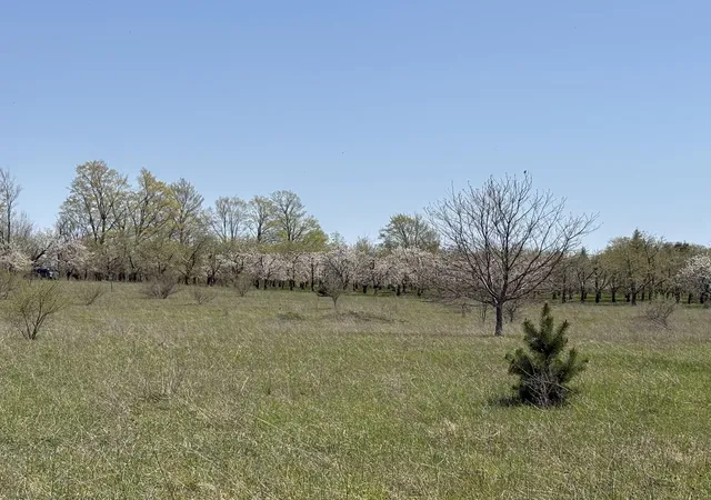 Photo 19 of Land for sale at 00 E Lovers Ln, Suttons Bay, MI 49682 | MLS# 80072123 | Listing updated on 2026-08-12