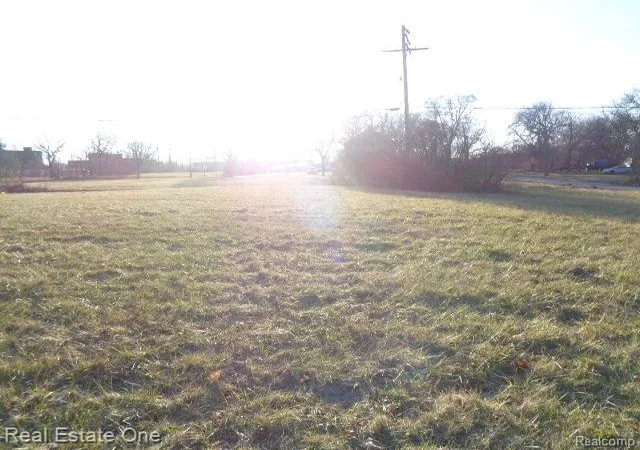Photo 3 of Land for sale at 2007 Bryant St, Detroit, MI 48208 | MLS# 60286495 | Listing updated on 2025-10-02