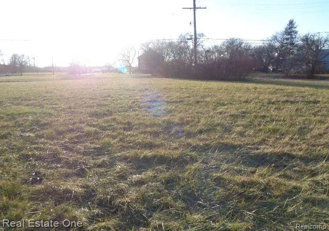 Photo 4 of Land for sale at 2007 Bryant St, Detroit, MI 48208 | MLS# 60286495 | Listing updated on 2025-10-02