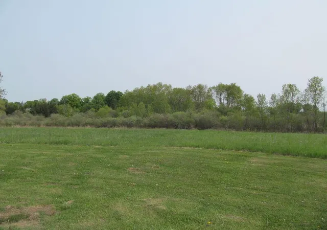 Photo 21 of Land for sale at Lot #10 Hemlock Street, Mc Bain, MI 49657 | MLS# 70316851 | Listing updated on 2026-05-29