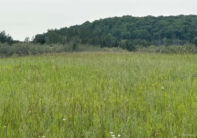 Photo 3 of Land for sale at N6125 Charlebois Rd, Hardwood, MI 49807 | MLS# 50214681 | Listing updated on 2026-08-10