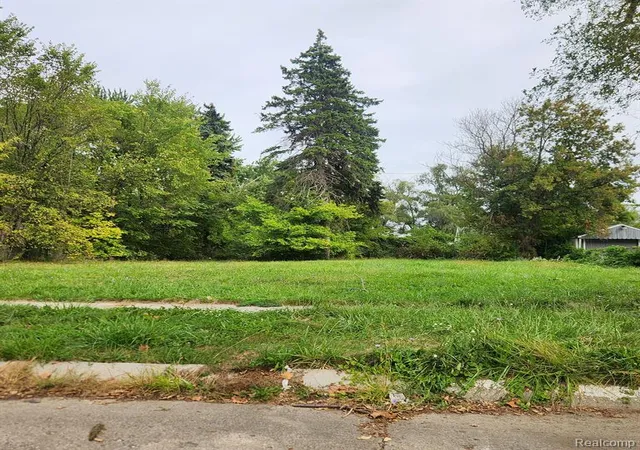 Photo 1 of Land for sale at 10086 Rosemont Ave, Detroit, MI 48228 | MLS# 60345301 | Listing updated on 2026-07-06