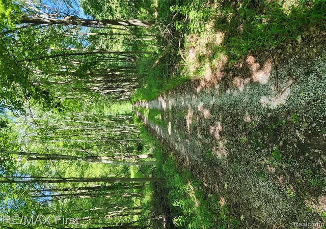 Homes for sale in Sanford, MI | 0 Vacant Land W Olsen Rd, Sanford, MI 48657 | MLS# 60994233