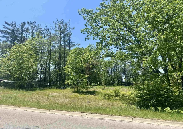 Homes for sale in Cadillac, MI | V/L Garfield St, Cadillac, MI 49601 | MLS# 80066468