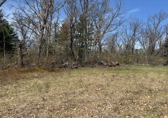 1st image of Vl S James Rd, Baldwin, MI 49304 | MLS# 70529479