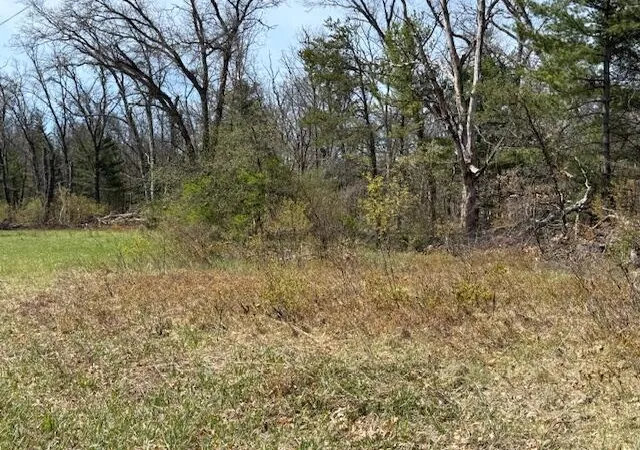 2nd image of Vl S James Rd, Baldwin, MI 49304 | MLS# 70529479