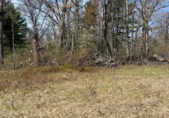 3rd image of Vl S James Rd, Baldwin, MI 49304 | MLS# 70529479