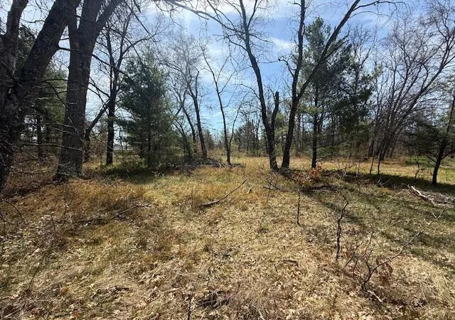 4th image of Vl S James Rd, Baldwin, MI 49304 | MLS# 70529479