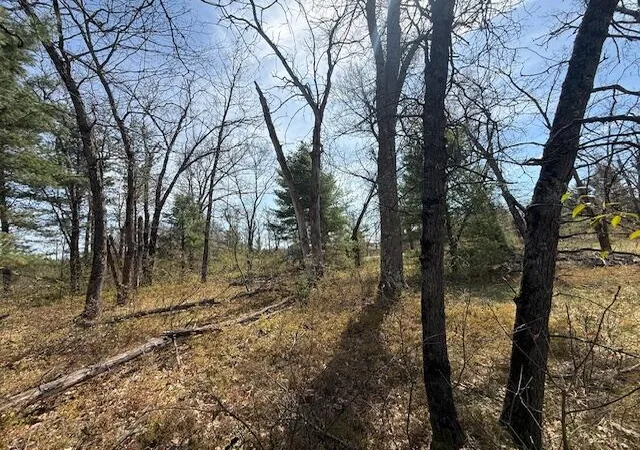 5th image of Vl S James Rd, Baldwin, MI 49304 | MLS# 70529479