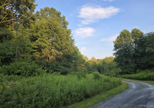 Photo 1 of Land for sale at 1271 Menominee River Rd, Florence, WI 54121 | MLS# 50218460 | Listing updated on 2026-08-13