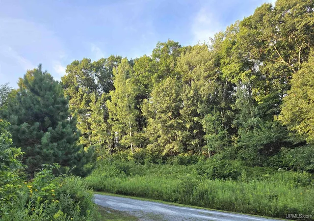 Photo 2 of Land for sale at 1271 Menominee River Rd, Florence, WI 54121 | MLS# 50218460 | Listing updated on 2026-08-13